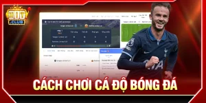 cách chơi cá độ bóng đá